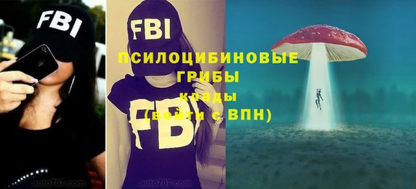 спиды Алексеевка