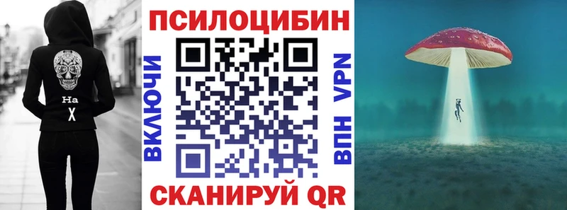 Галлюциногенные грибы Psilocybine cubensis ОМГ ОМГ ONION Стародуб наркошоп
